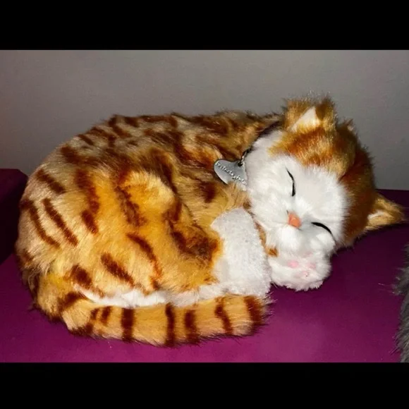 Perfect Petzzz Gray Tabby Cat W/Bed Battery and Adoption Papers - Picture 9 of 11